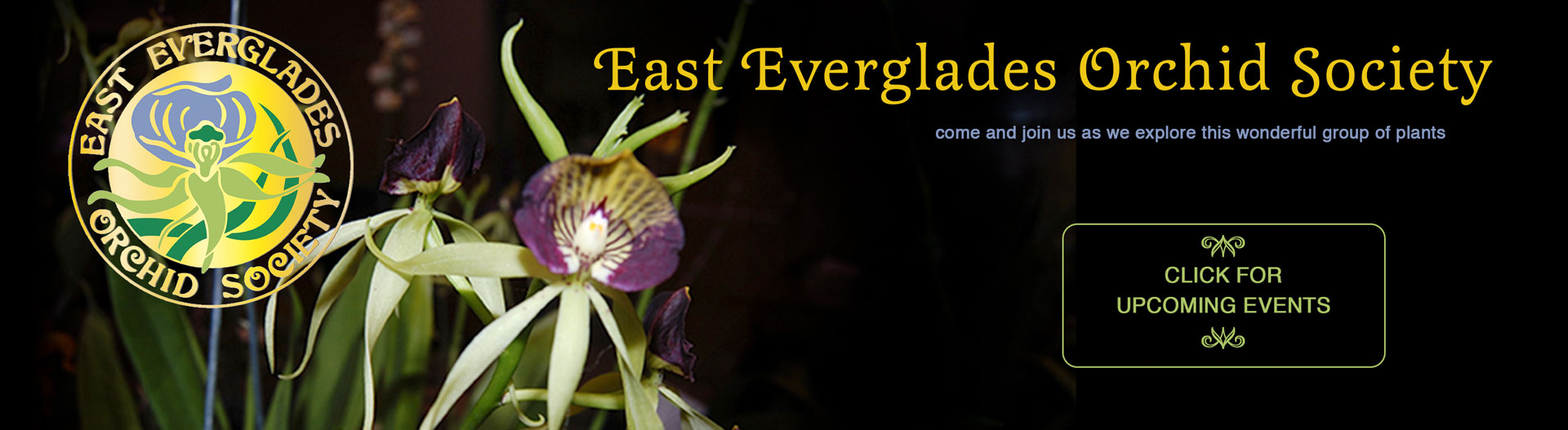East Everglades Orchid Affiliate - Slider Image